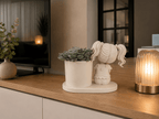 3D bloemenpotje “bedankt voor het leuke jaar” - DYNA WOONDECORATIE