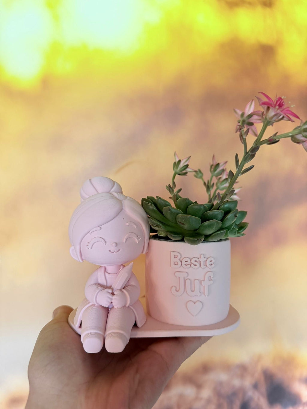 3D bloemenpotje Beste Juf - DYNA WOONDECORATIE