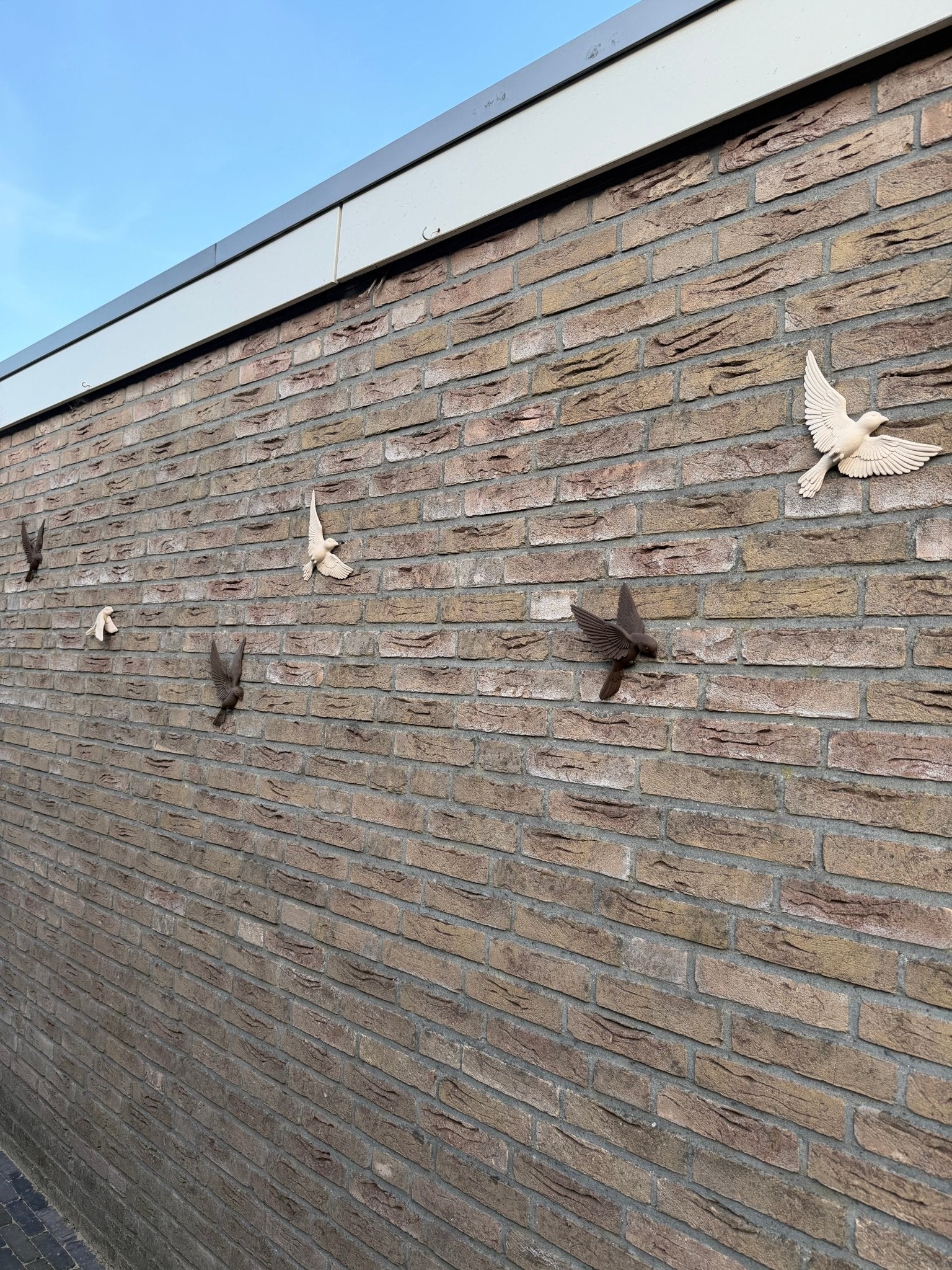 3D wanddecoratie vogel(s) - DYNA WOONDECORATIE