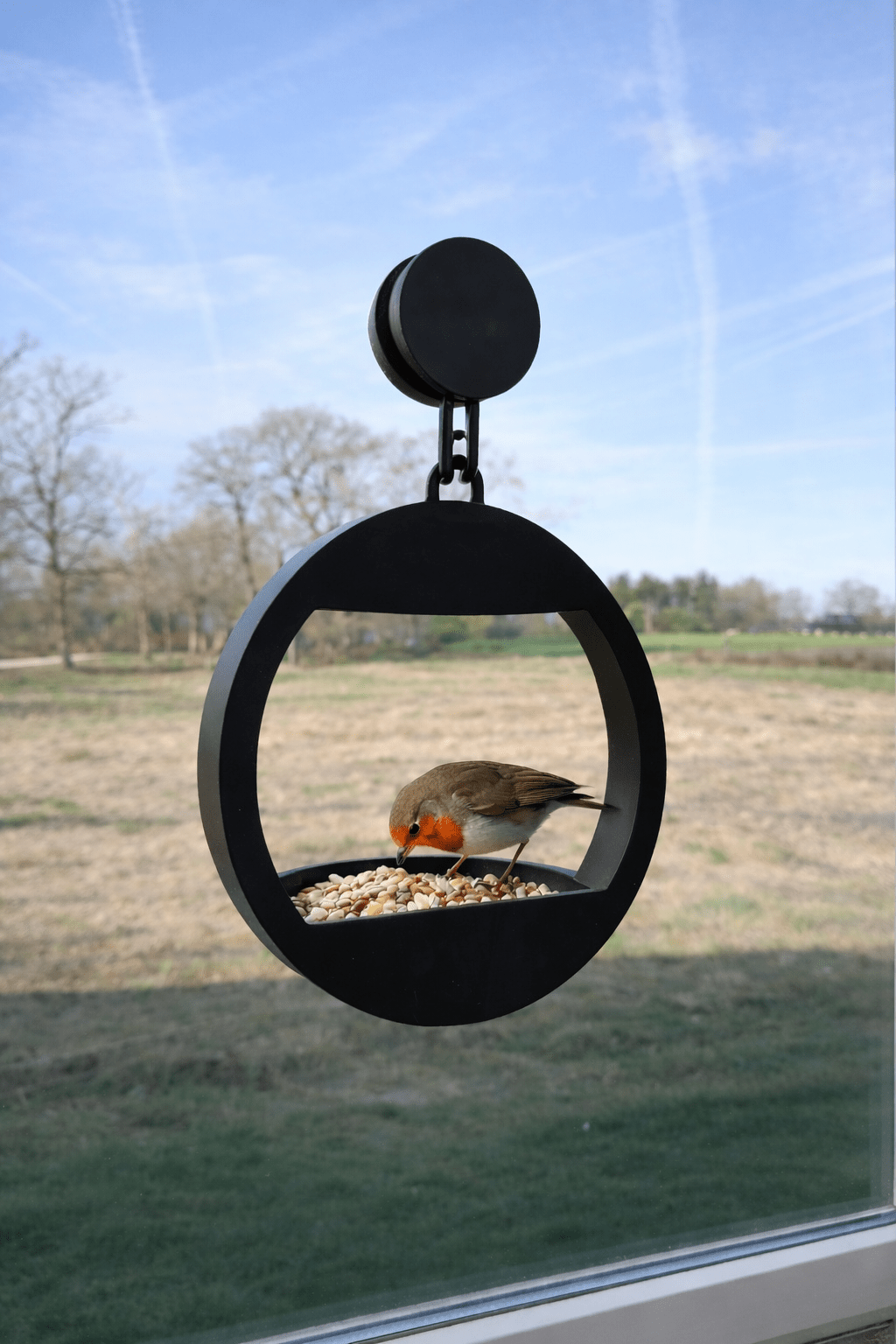 Raam Vogelvoeder – Geniet van vogels van dichtbij - DYNA WOONDECORATIE