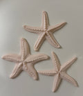 Zeester set ‘soft pink’ - DYNA WOONDECORATIE